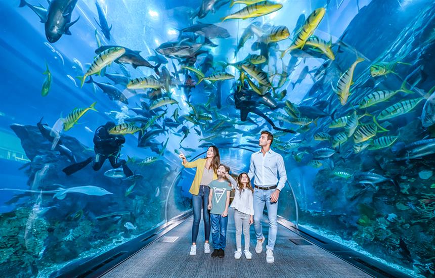 dubai aquarium and underwater zoo